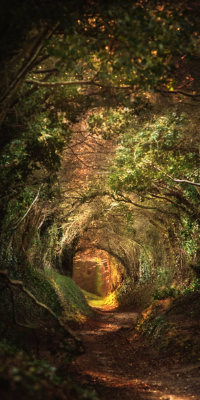 Bildbeispiel Webseite