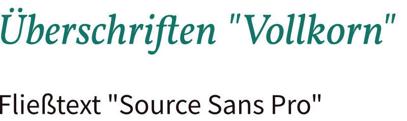 Typografie Webdesign