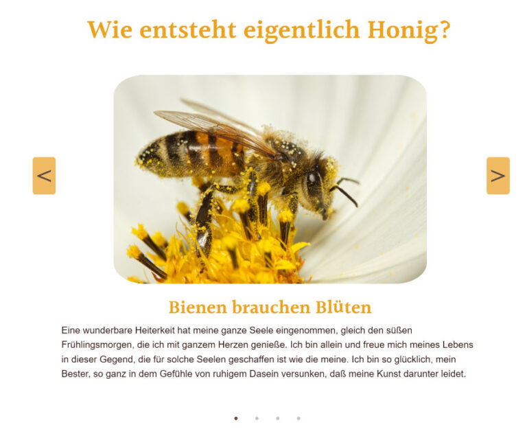 Interaktion Webdesign Frontend-Entwicklung Slider Anika Marciniak