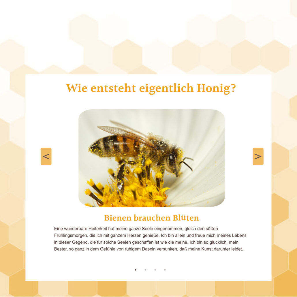 Projekt Webdesign Frontend-Entwicklung Anika Marciniak